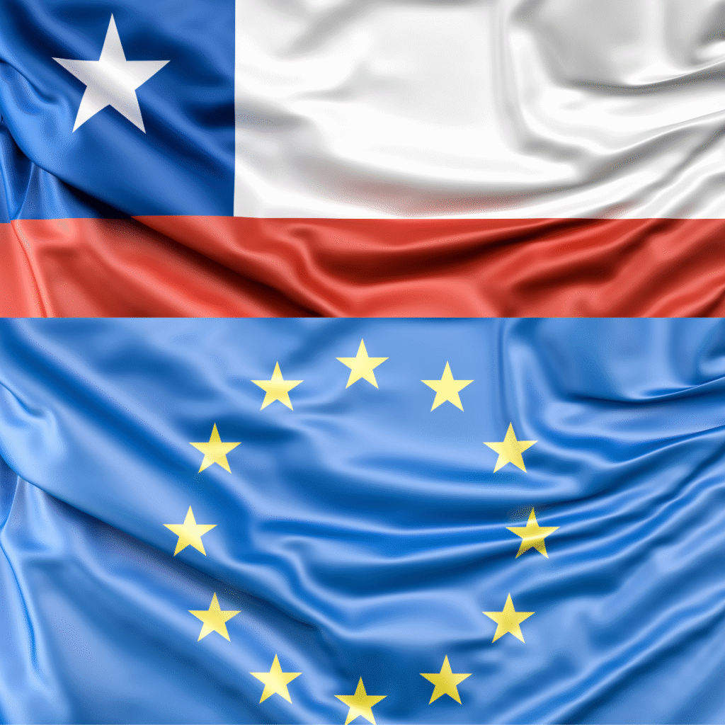 Europa lidera el uso de la energía biomasa para calefacción: ¿Cómo lo implementa Chile?